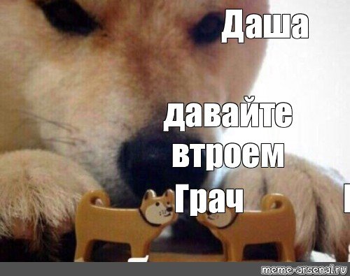 Собака уходит Мем