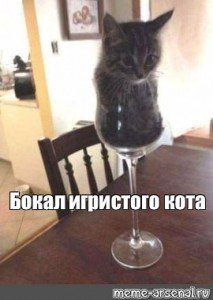 Кот с фужером Мем
