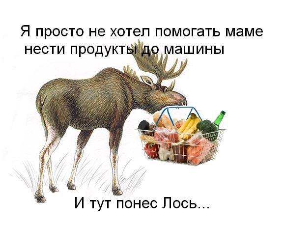 Лось картинки смешные