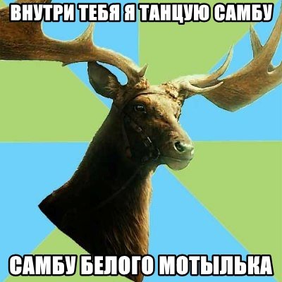 Лось мемы