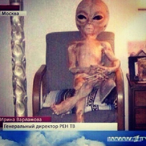Генеральный продюсер РЕН ТВ