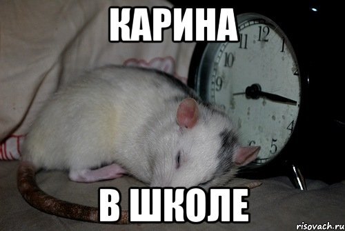 Ля крыса Мем