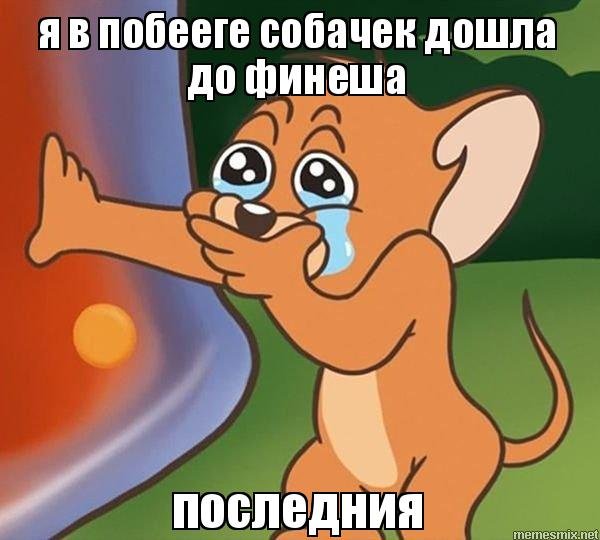 Мышонок Джерри плачет Мем