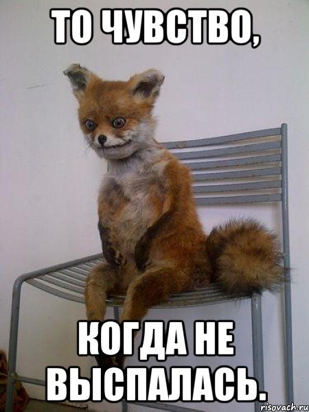 Просто не выспалась Мем