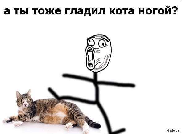 Мемы про котиков