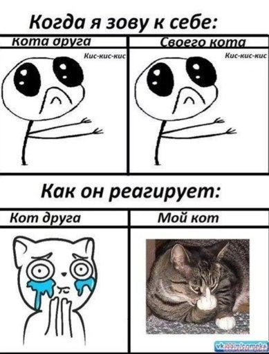 Мемы про котов