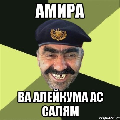Приколы про Амира