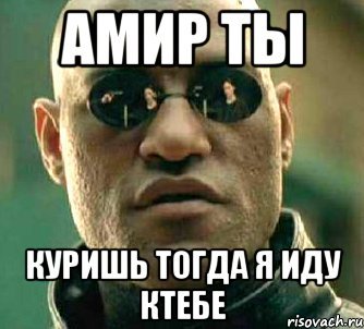 Амир приколы