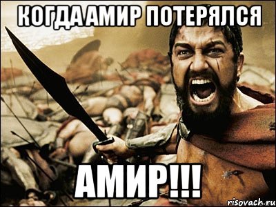 Амир тупой