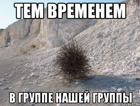 Шутки про Амира