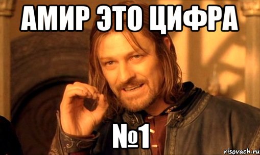 Амир мемы