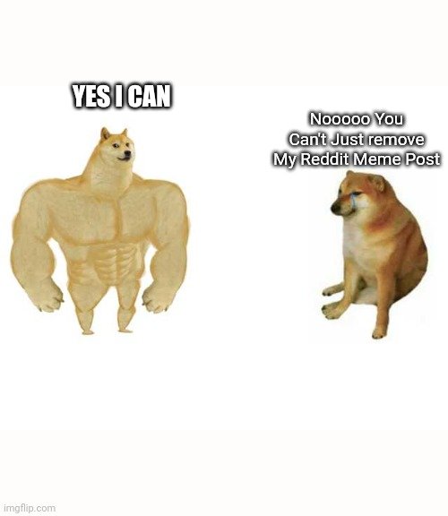 Сильная собака Мем