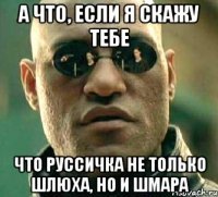 Мемы про зою (50 фото)