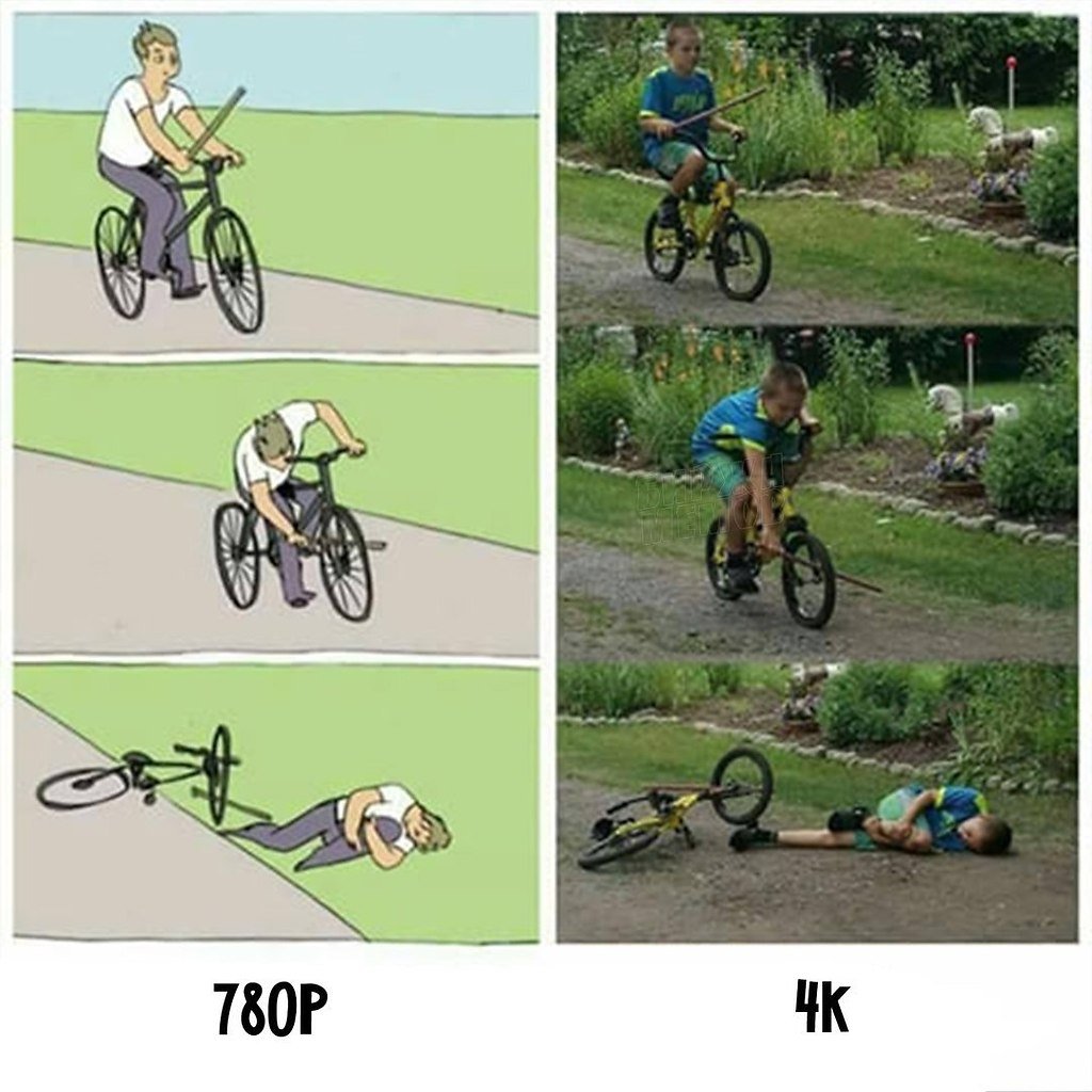 Bike stick meme