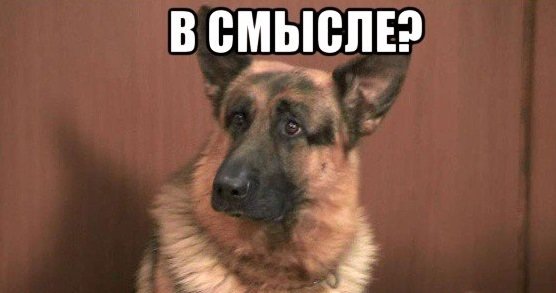 Мемы всмысле