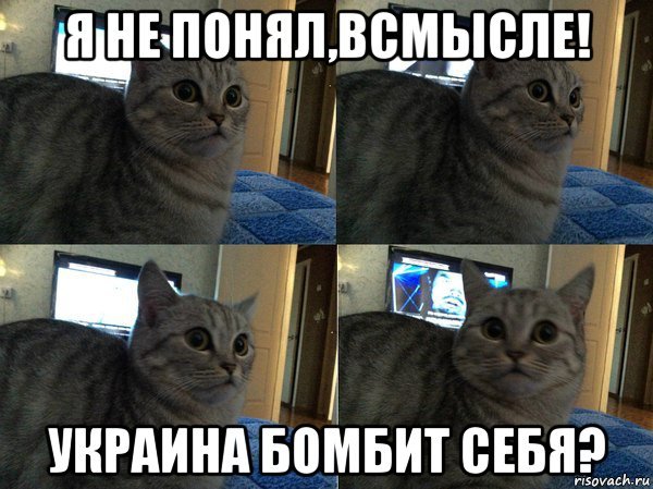 Мемы всмысле