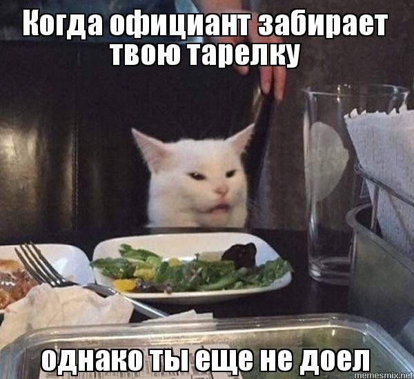Мем с котом за столом