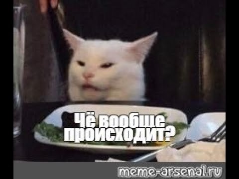 Женщина крутчит на кота