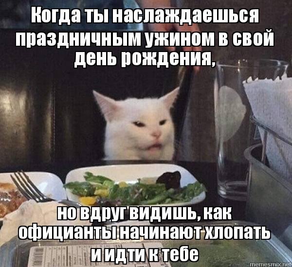 Девушки орут на кота