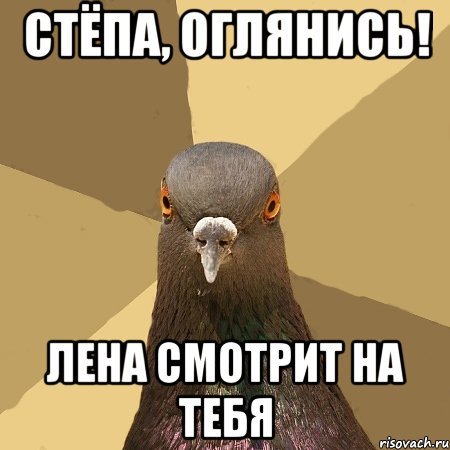 Мемы про стёпу