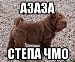 Шутки про степу