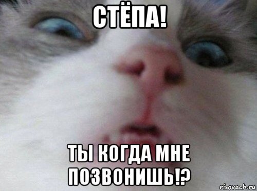 Стёпа мемы