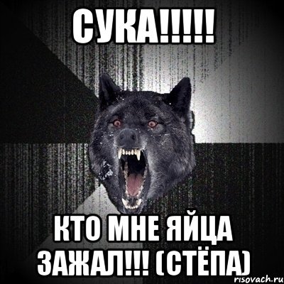 Стёпа Мем