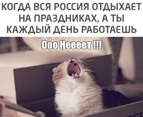 Котик нееет