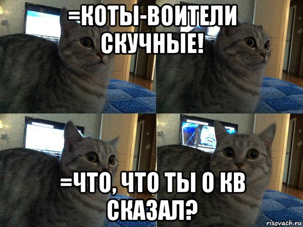 Держусь Мем с котом