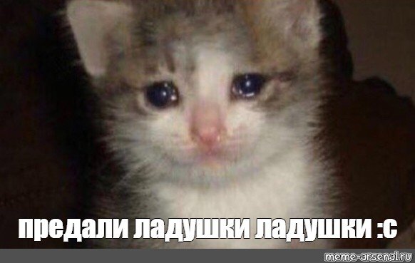 Плачущий кот Мем