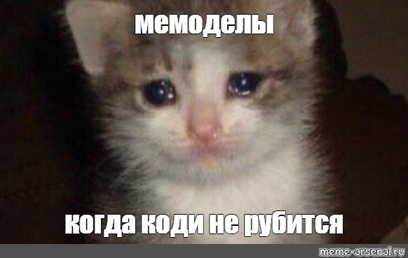 Мемы про невдупленыша котенка (48 фото)