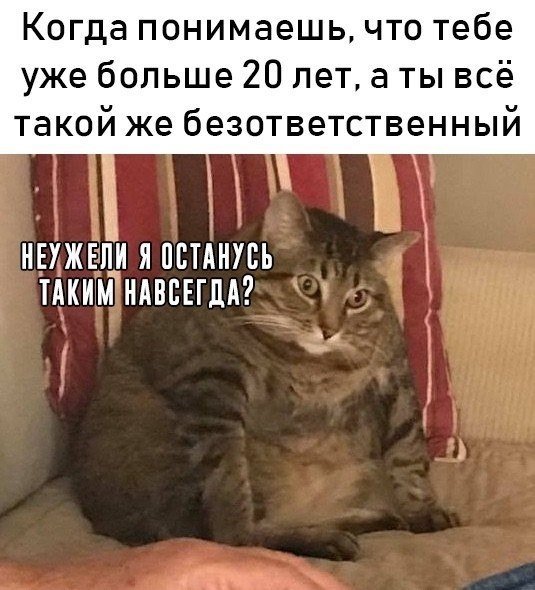 Жирные вздохи сожаления