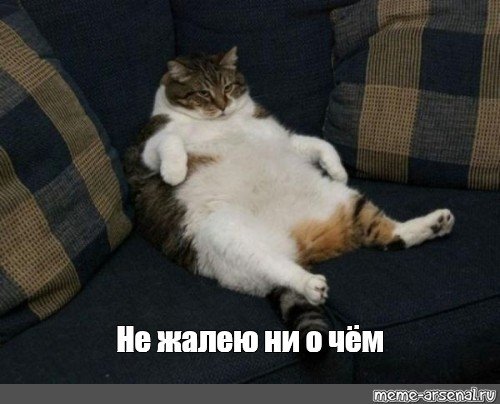 Жирные вздохи сожаления кот