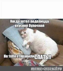 Жирный кот Мем