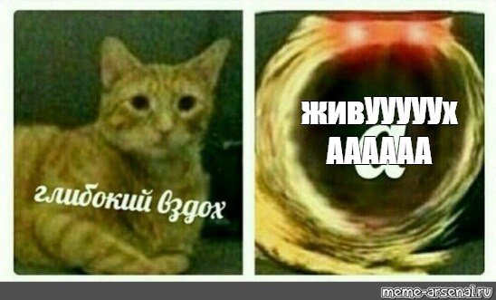 Приглашение на свадьбу от Еврейской мамы анекдот
