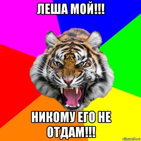 Стреляй Мем