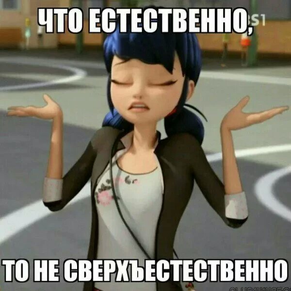 Ледибак и суперкотприколы