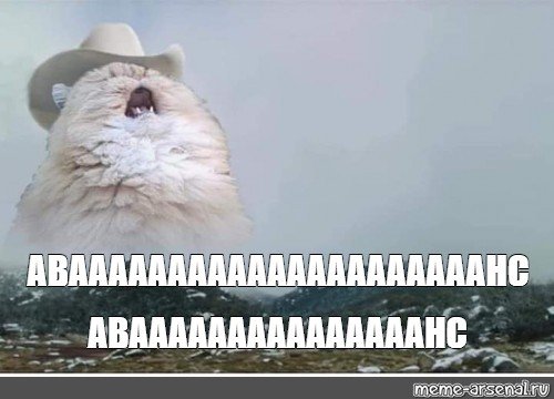 Орущий кот Мем