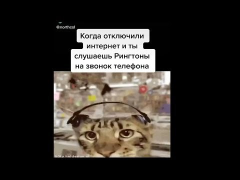 Кот со ртом человека