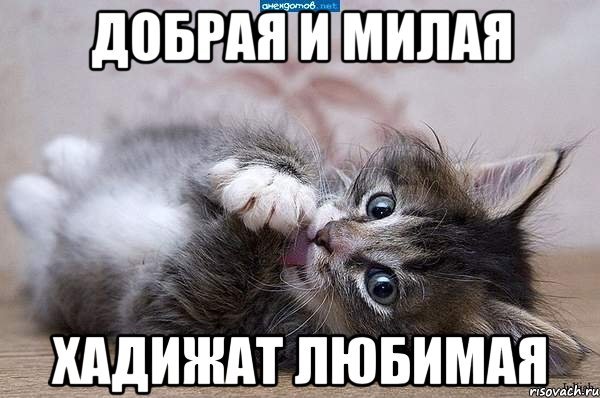 Смешные мемы Хадижат