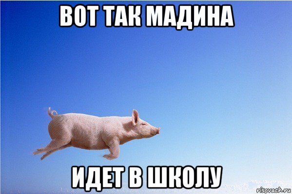 Мемы про Мадину