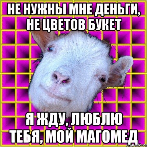 Магомед я тебя люблю