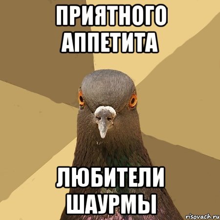 Шаурма из голубя