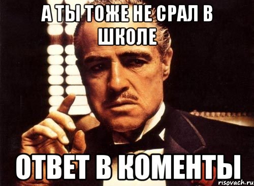 Среш Мем кот