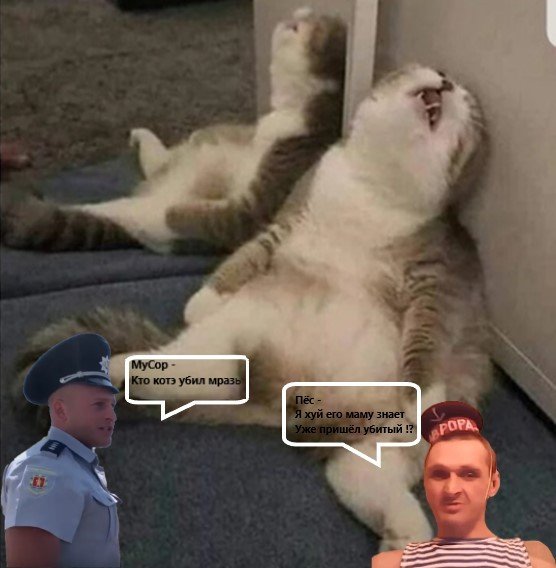 Уставший кот Мем