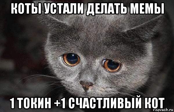 Грустные котики мемы