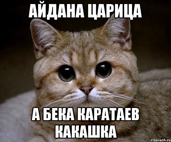 Мем Надоедливый апельсин Дима