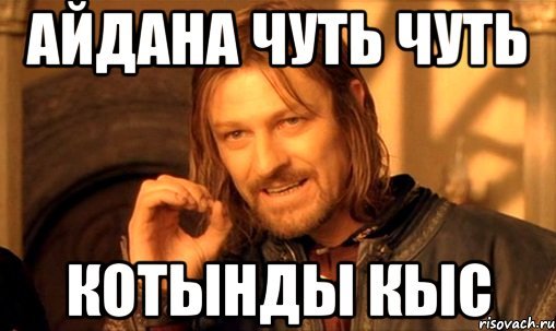 Айдана мемы