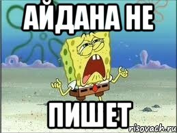 Я прошу тебя узбагойся