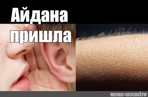 Айдана мемы